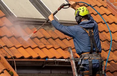 Démoussage et hydrofuge de toiture à Anan